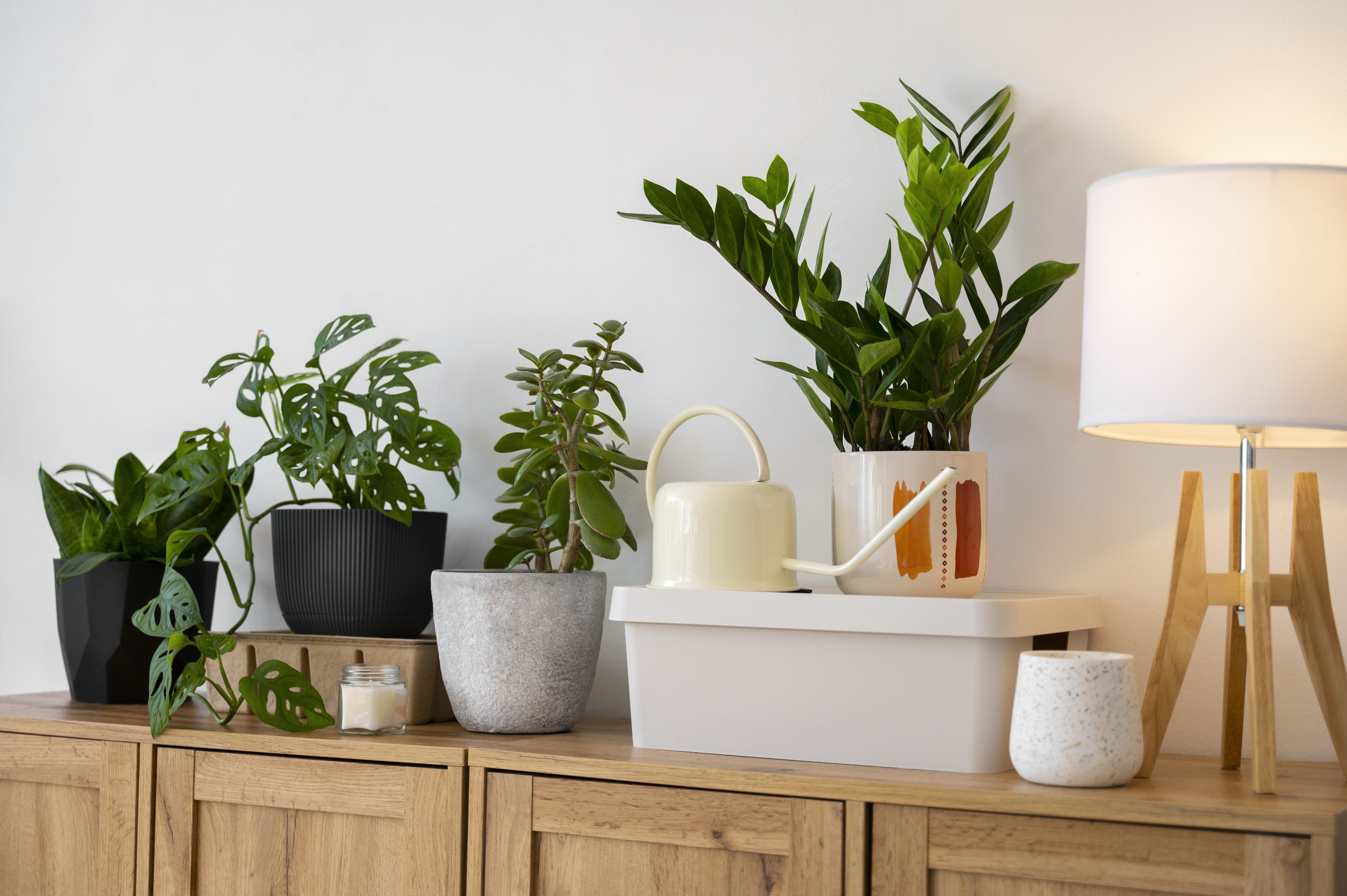 6. Grow Your Own Herb Garden